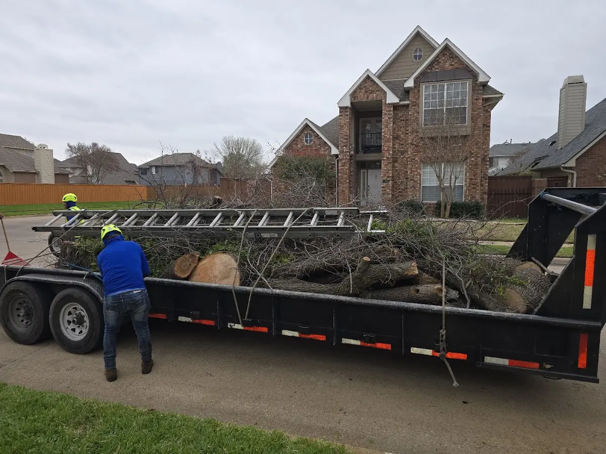Expert Lot Clearing with proper safety equipment in Montville